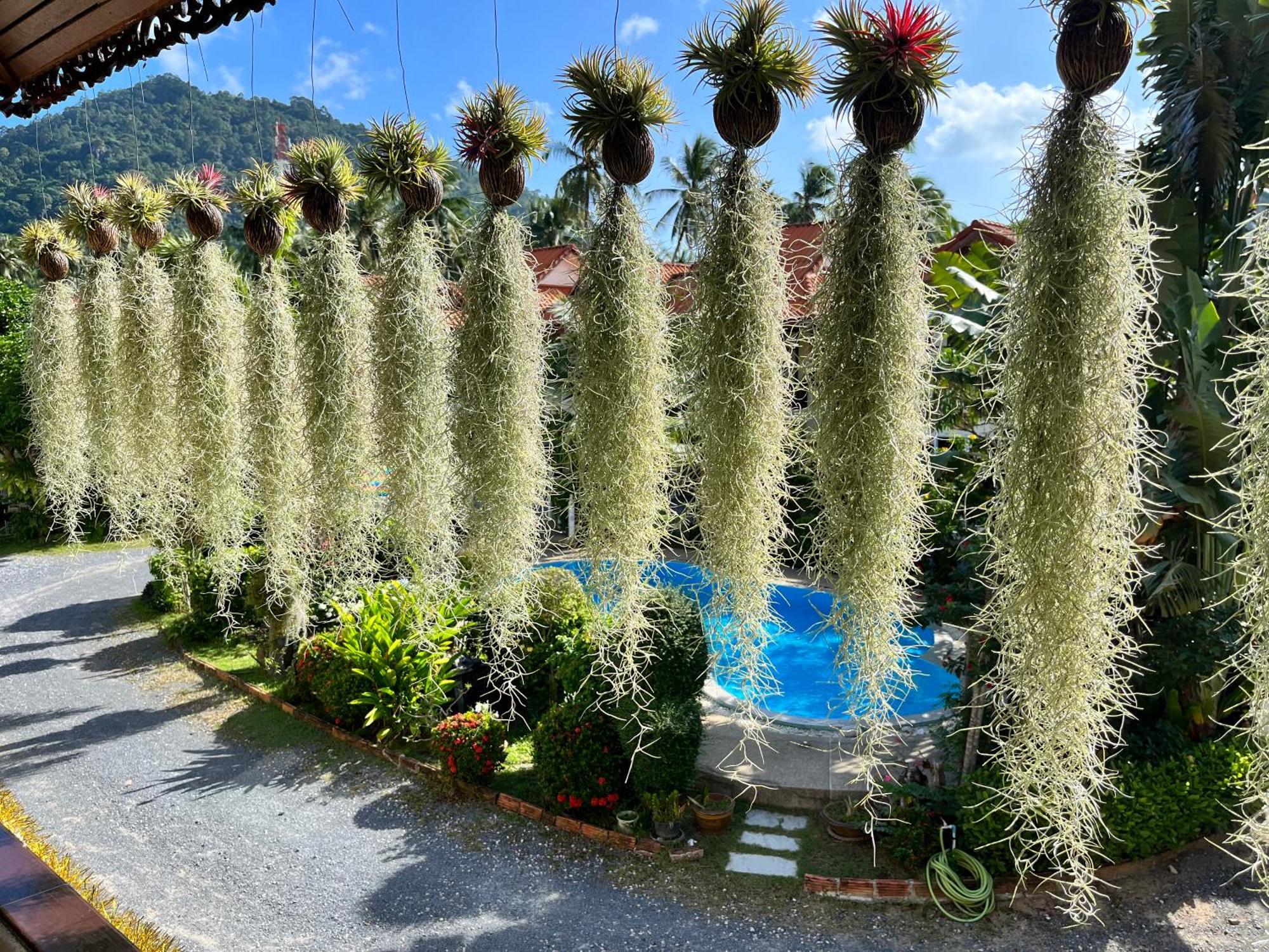 Amy Village Garden Resort Lamai Beach  Exterior photo